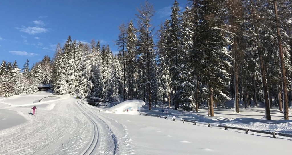 Perfekte Loipen bei der Roland Arena