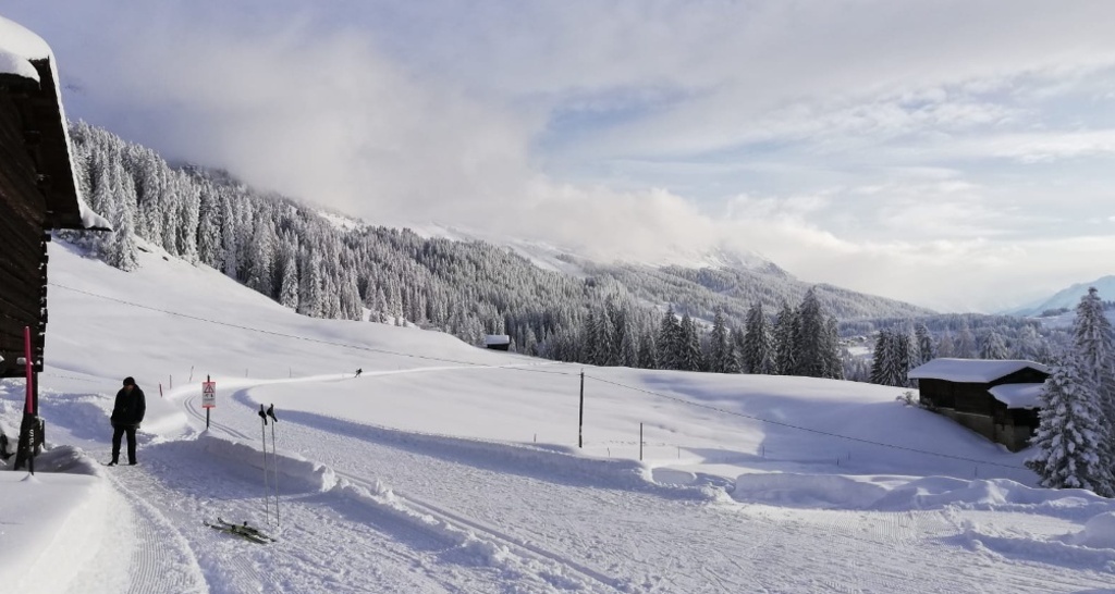 Maiensäss in Mittelberg