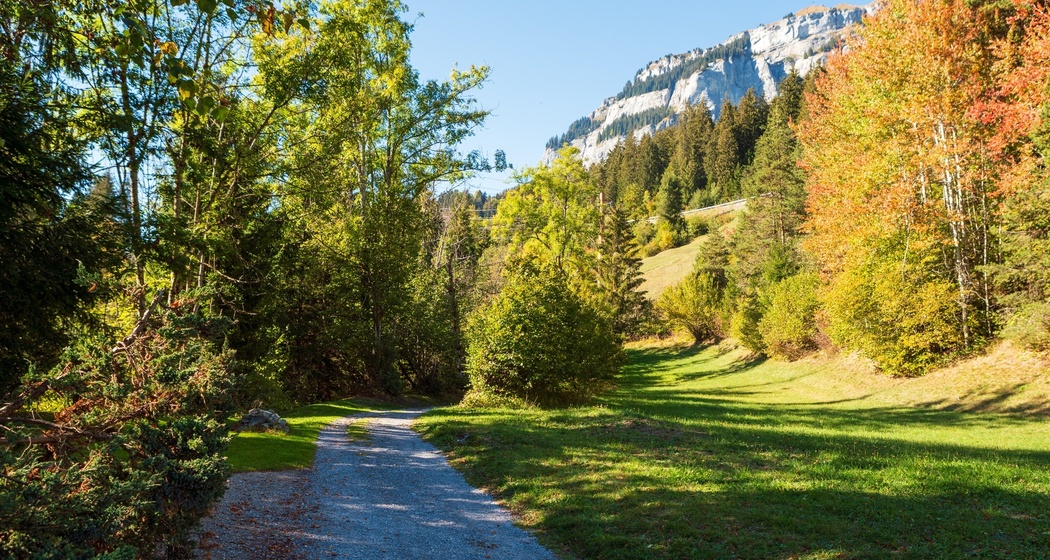 Weg zur Felsbachschlucht