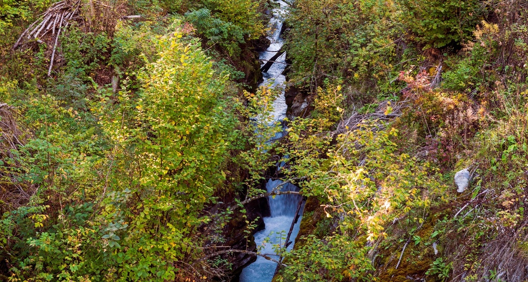 Felsbachschlucht