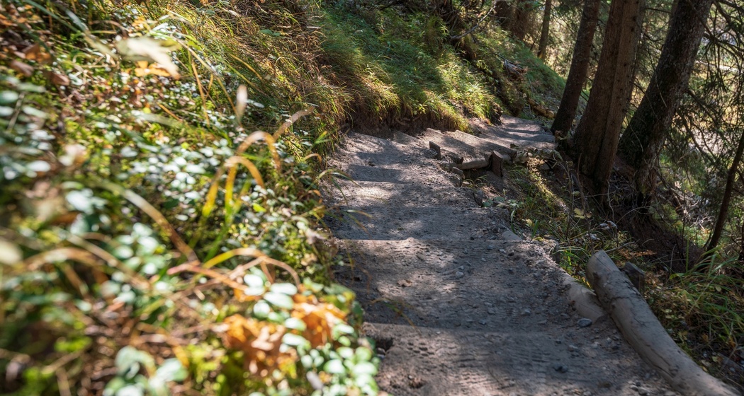 Weg zur Muletg - Trutg dil Flem Brücke