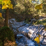 Punt da Max - Trutg dil Flem