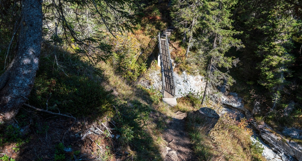 Tarschlims - Trutg dil Flem