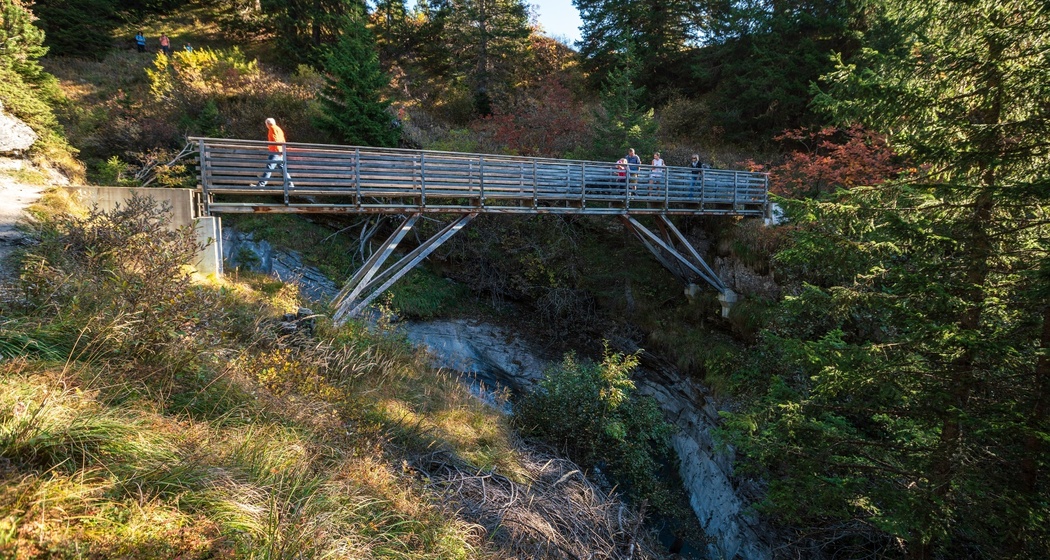 Verweilbrücke - Trutg dil Flem
