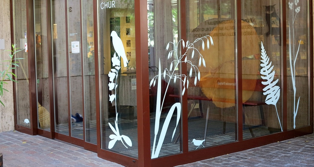 Bündner Naturmuseum Chur.