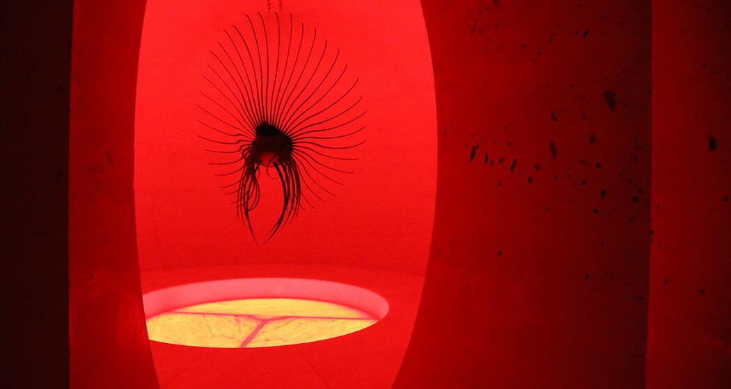 OVO - begehbare Installation (oua_36651369_image)