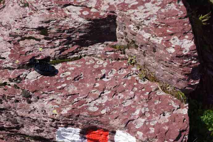 Verrucano am Oberen Murgsee (oua_36767574_image)