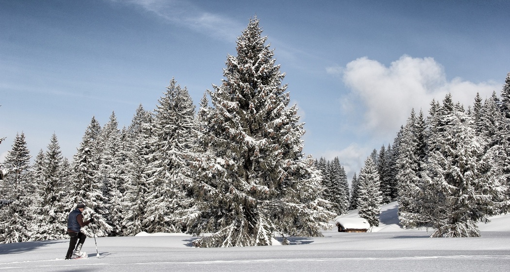 Unterwegs in der Schneeschuh-Arena Prättigau