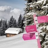 Panyer Rundtour Schneeschuhtour