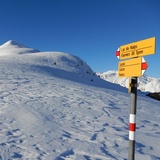 Über den breiten Rücken hinauf