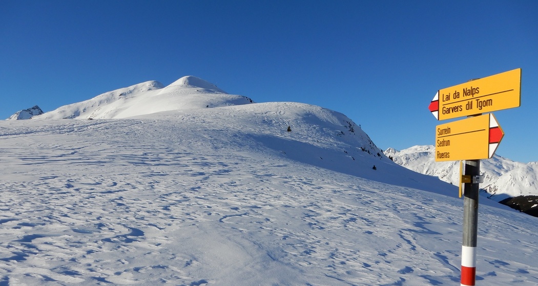 Über den breiten Rücken hinauf
