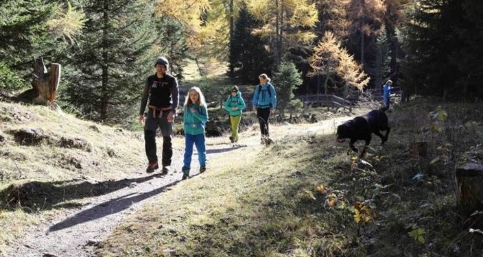 Natura Trail - Parc Ela 1