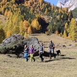 Sentiero Natura - Parc Ela 2