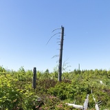 Sentiero Natura - Parc Ela 2