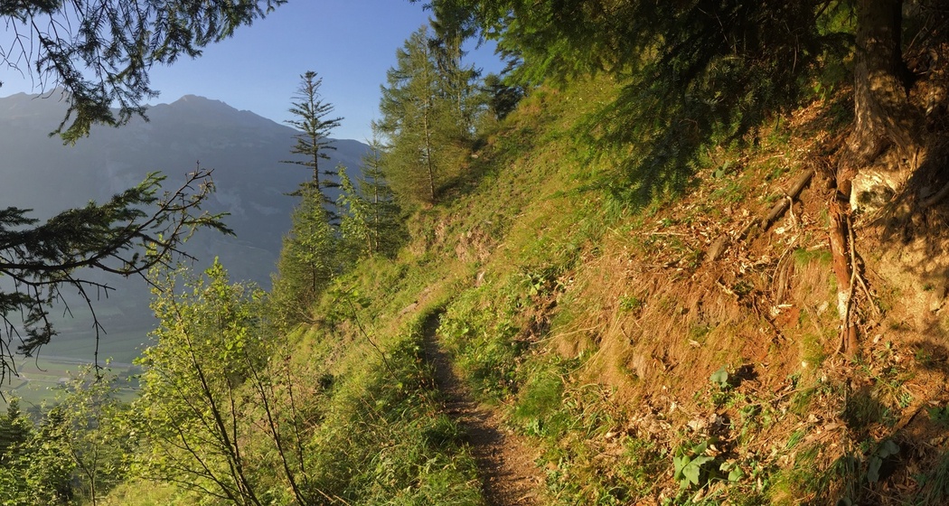 Wanderweg Sauerquelle