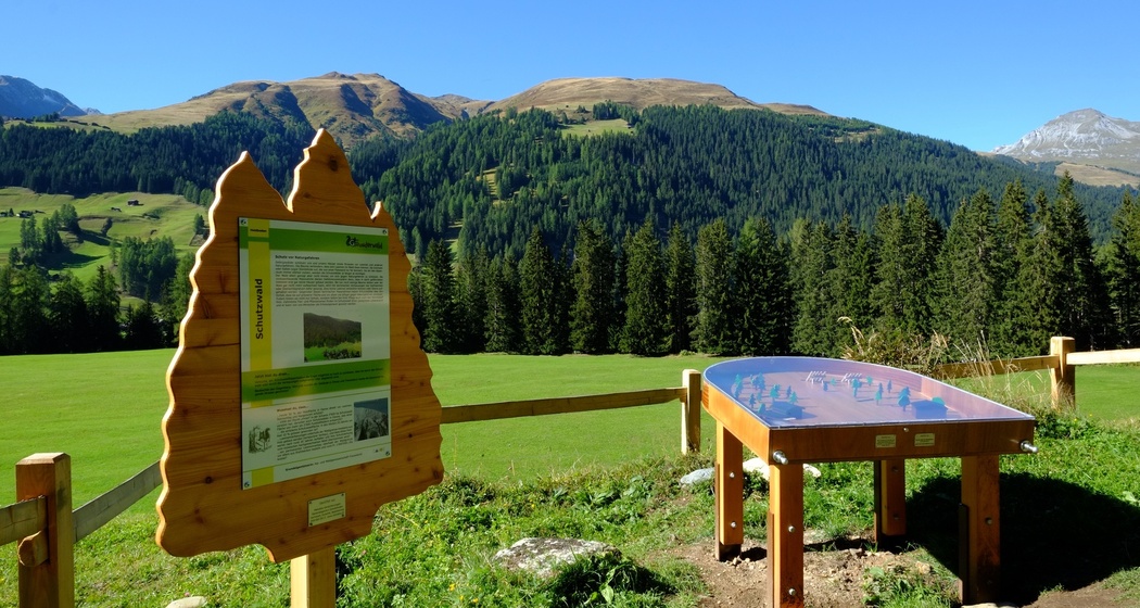 GWunderwald - Teilpfad 6 - Junkerboden (oua_37461203_image)