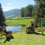 GWunderwald - Teilpfad 1 - Wildboden (oua_37461206_image)