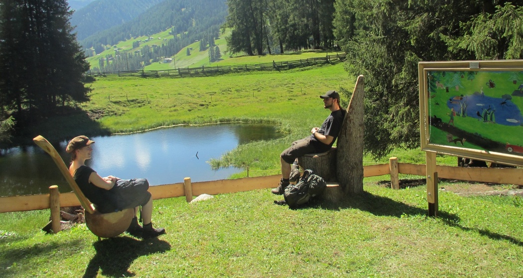 GWunderwald - Teilpfad 1 - Wildboden (oua_37461206_image)