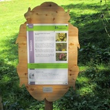 GWunderwald - Teilpfad 2 - Clavadel (oua_37461210_image)