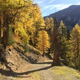 Val Müstair trail in front of Alp Champatsch