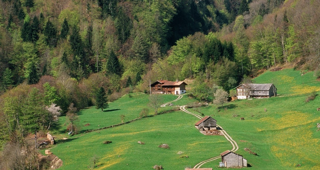Valens Blick auf die Brücke