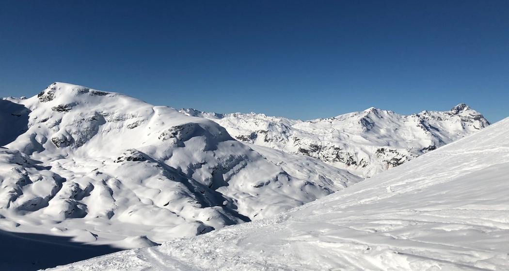 Piz da las Coluonnas 2960 m ü.M. (oua_37648881_image)