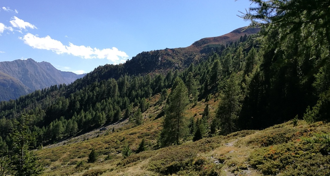 Brail – Alp Barlas-ch – Alp Munt – Zernez (oua_37687247_image)