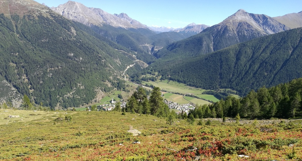 Blick auf Zernez und Ofenpass