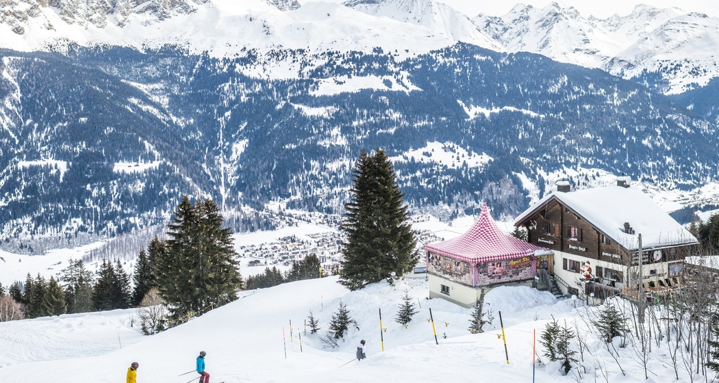 Roggi's Baizli (oua_37772650_image)