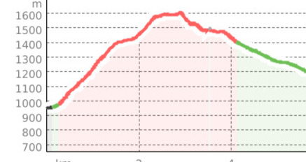 Bodio - Selma (oua_37923395_94ea3ef_profile)
