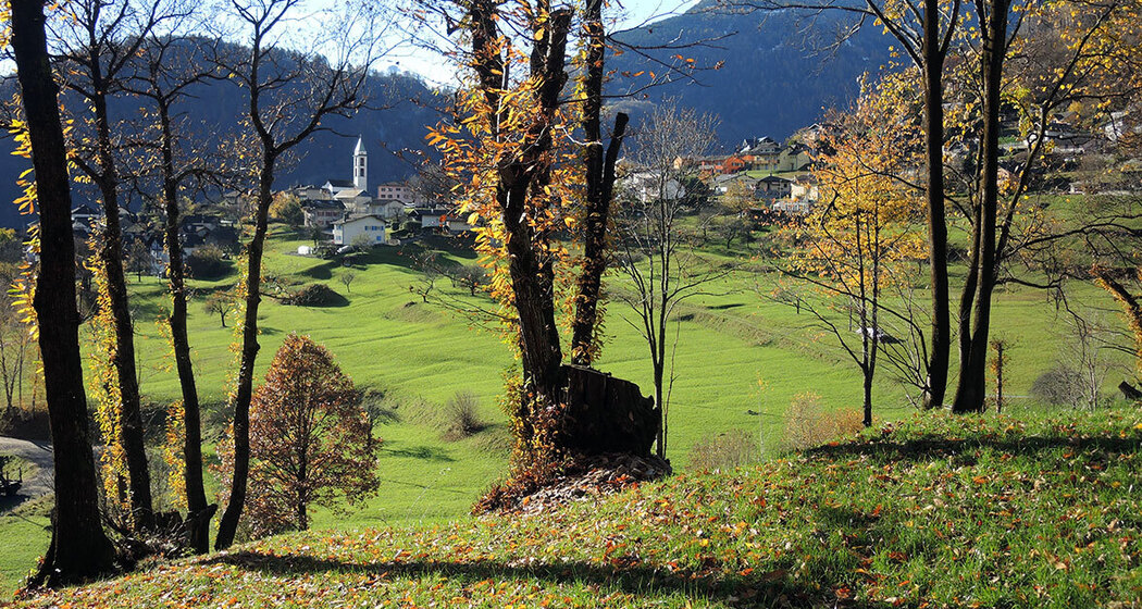 638 - Santa Maria in Calanca (oua_37923906_image)