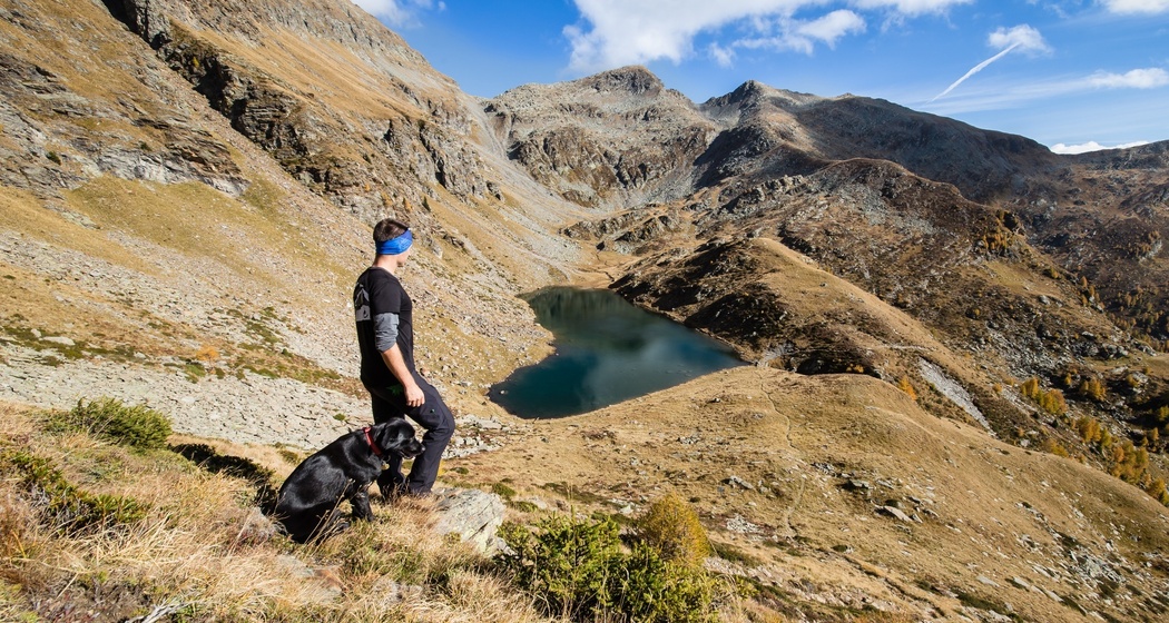 Laghet de Calvaresc (oua_37926190_image)