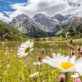 Sertig Dörfli - Wasserfall (oua_38038811_image)