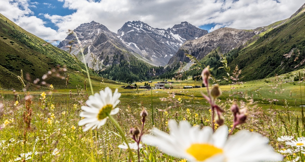 Sertig Dörfli - Wasserfall (oua_38038811_image)