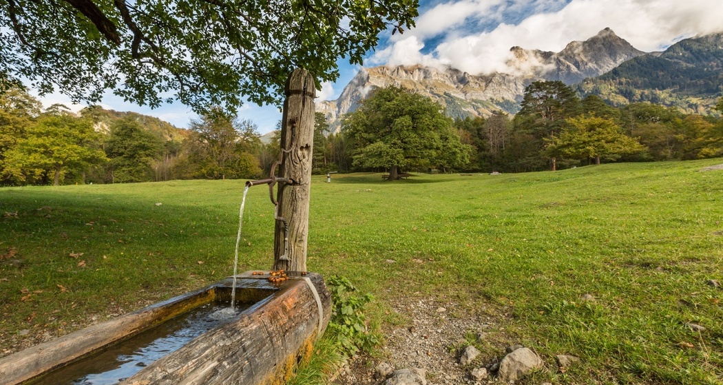 12. Nationaler Wandertag: Wanderung 2 - Weinwanderung Bündner Herrschaft