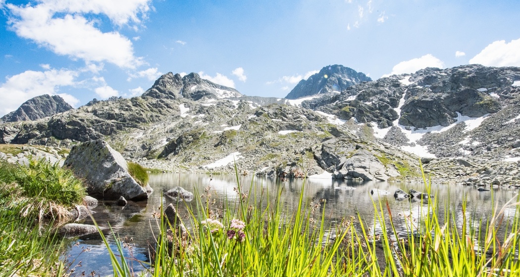 Bergseeli Splügenpass