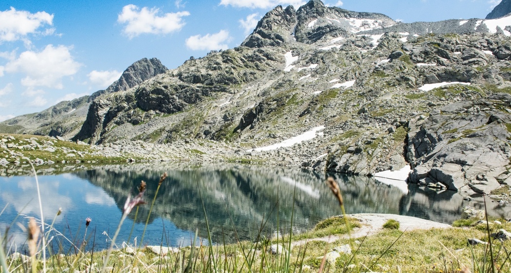 Bergseeli Splügenpass