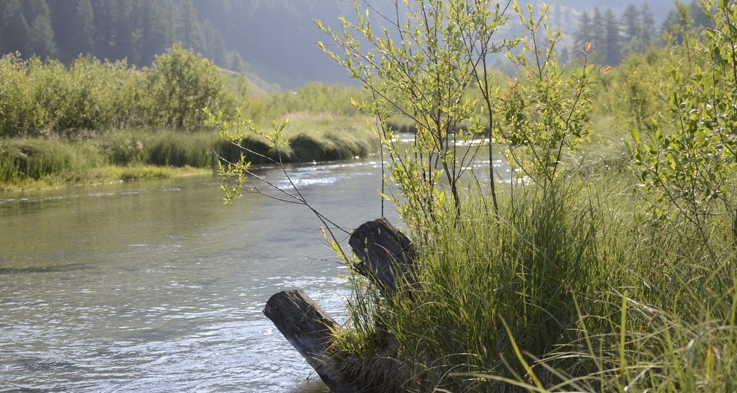 Fischen im Val Müstair (oua_38317741_image)