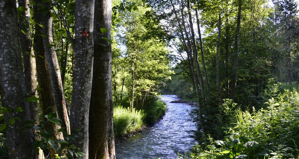 Fischen im Val Müstair (oua_38317742_image)