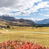 The Flix e-bike tour (oua_38469126_image)