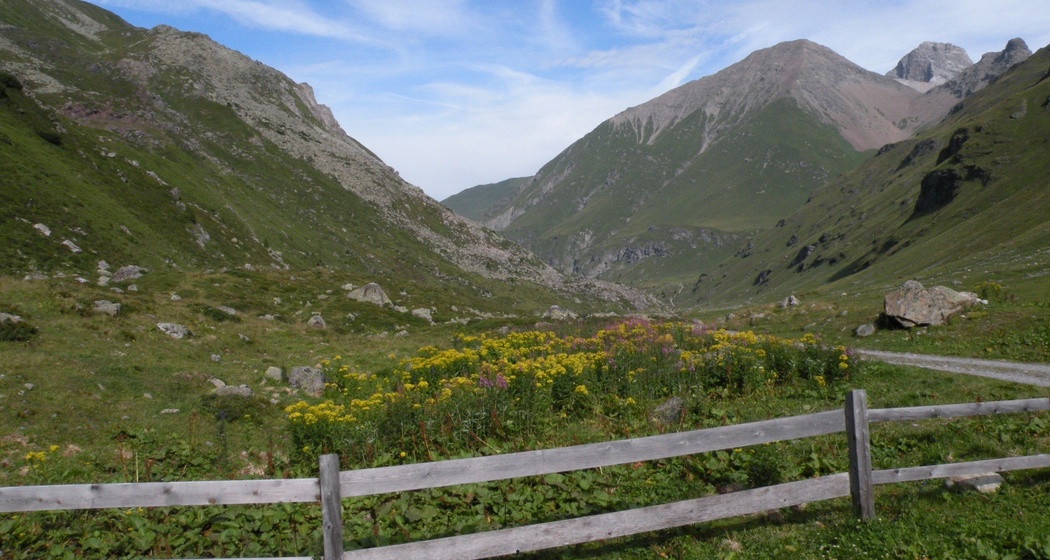 Tgant Pensa - Alp d'Err - Tgant Pensa (Kinderwagengerecht) (oua_3864181_image)