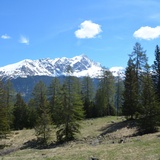 Tigignas - Salaschigns - Savognin (oua_39074657_image)