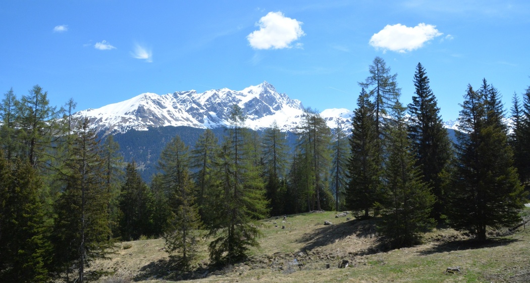 Tigignas - Salaschigns - Savognin (oua_39074657_image)