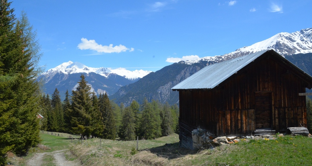 Tigignas - Salaschigns - Savognin (oua_39074677_image)