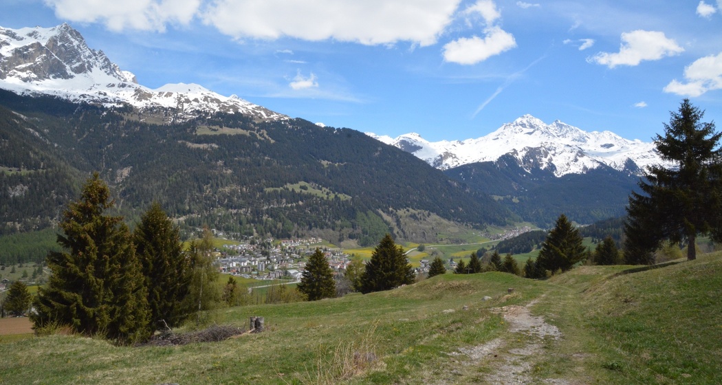 Tigignas - Riom - Savognin (Kinderwagengerecht) (oua_39074977_image)