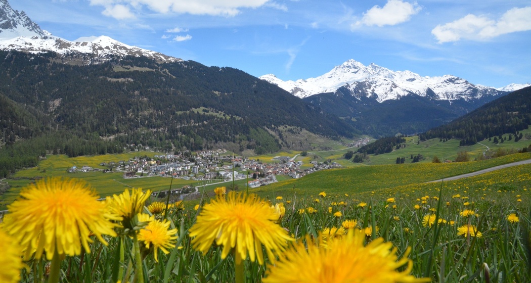 Tigignas - Riom - Savognin (Kinderwagengerecht) (oua_39074986_image)