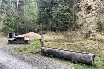 Grillplatz / Feuerstelle beim Naturwaldreservat Chopfwald Grüsch (oua_39140589_image)