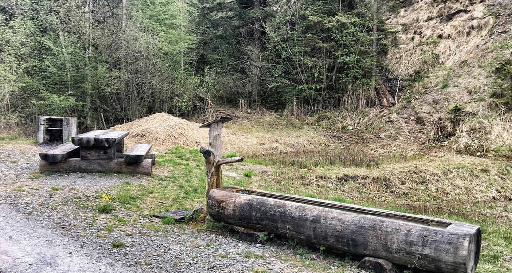 Grillplatz / Feuerstelle beim Naturwaldreservat Chopfwald Grüsch (oua_39140589_image)