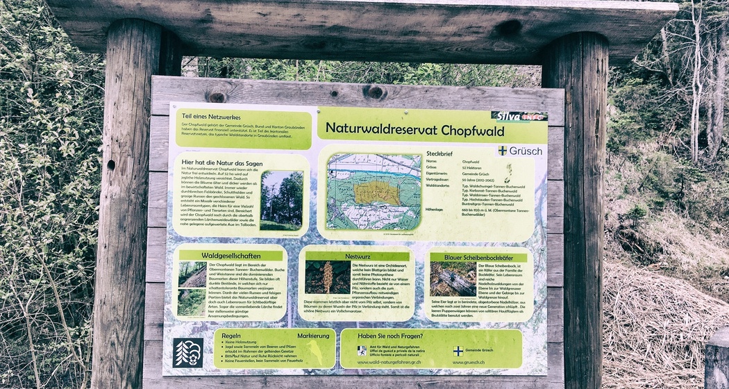 Grillplatz / Feuerstelle beim Naturwaldreservat Chopfwald Grüsch (oua_39140590_image)