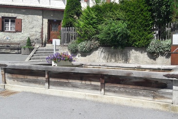 Stron spring (oua_39450884_image)